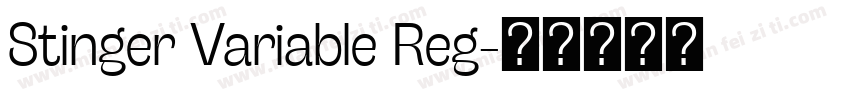 Stinger Variable Reg字体转换